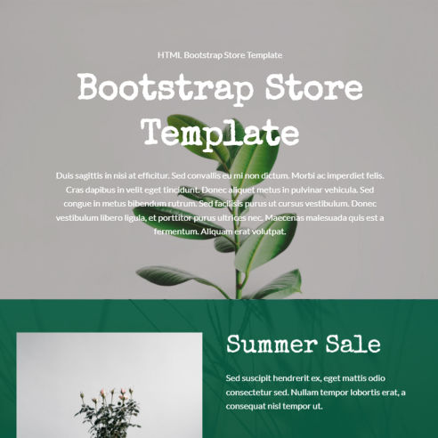 Bootstrap Store Template – Free Download
